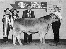 Twin Fir Silky, Grand Champion Female, NILE 1998