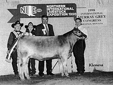 Twin Fir Silver Bullet, Reserve Grand Champion Bull, NILE 1998
