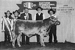 Willowcreek Titanic, Grand Champion Bull, NILE 1998
